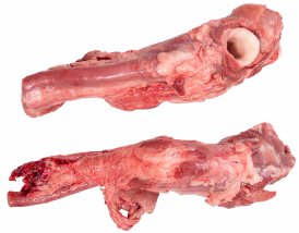 卡爾提克豬肉